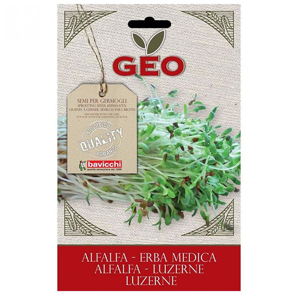 Alfalfa semillas para germinar bio (40 gr.)